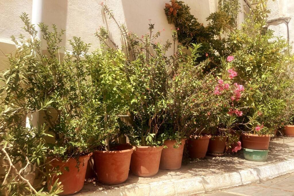 Casa Rubi Townhouse Сasa de vacaciones *