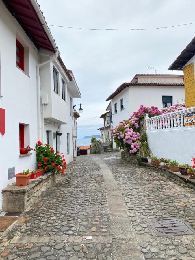 Casa Gin * Tazones