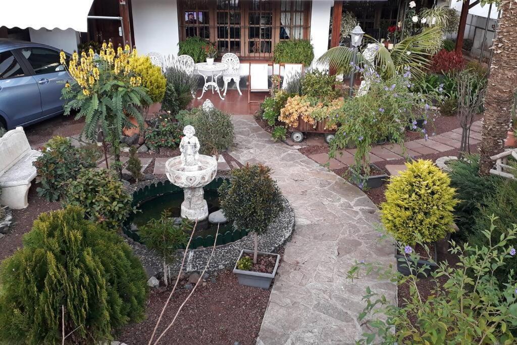 Tranquilo En Casa Con Jardin Apartamento