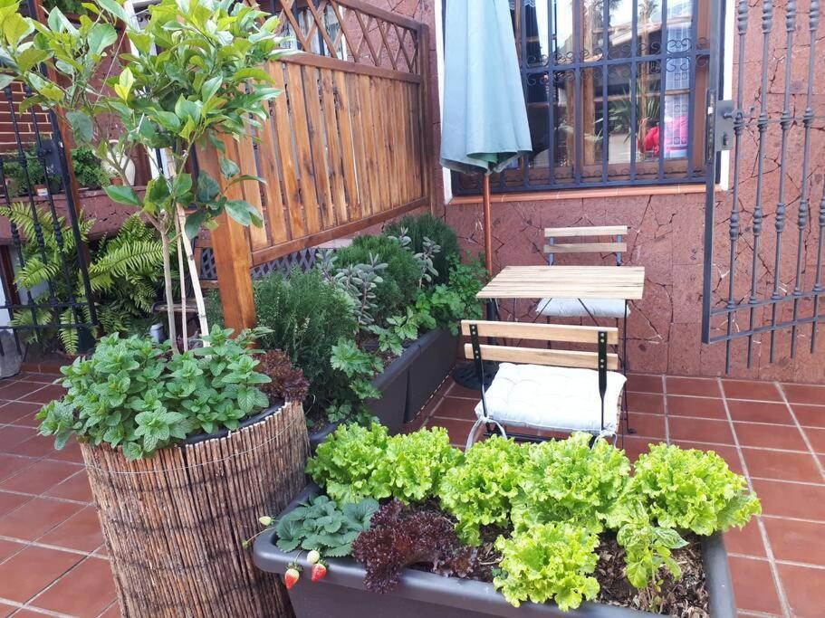Apartamento Tranquilo En Casa Con Jardin La Laguna (Tenerife)