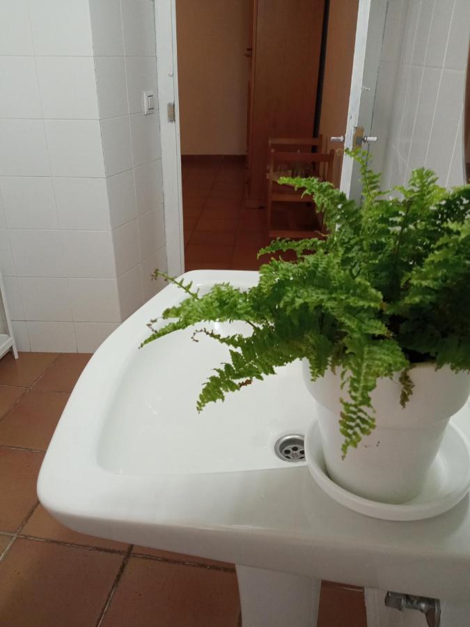 Musas Gastro Casa Rural *