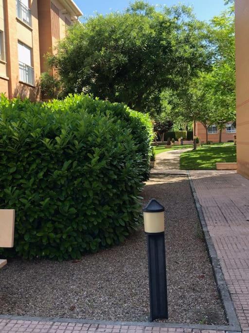 Apartamento Vut El Parque Piso 3dormitorios 2banos Parking Gratis En El Centro Ciudad Real