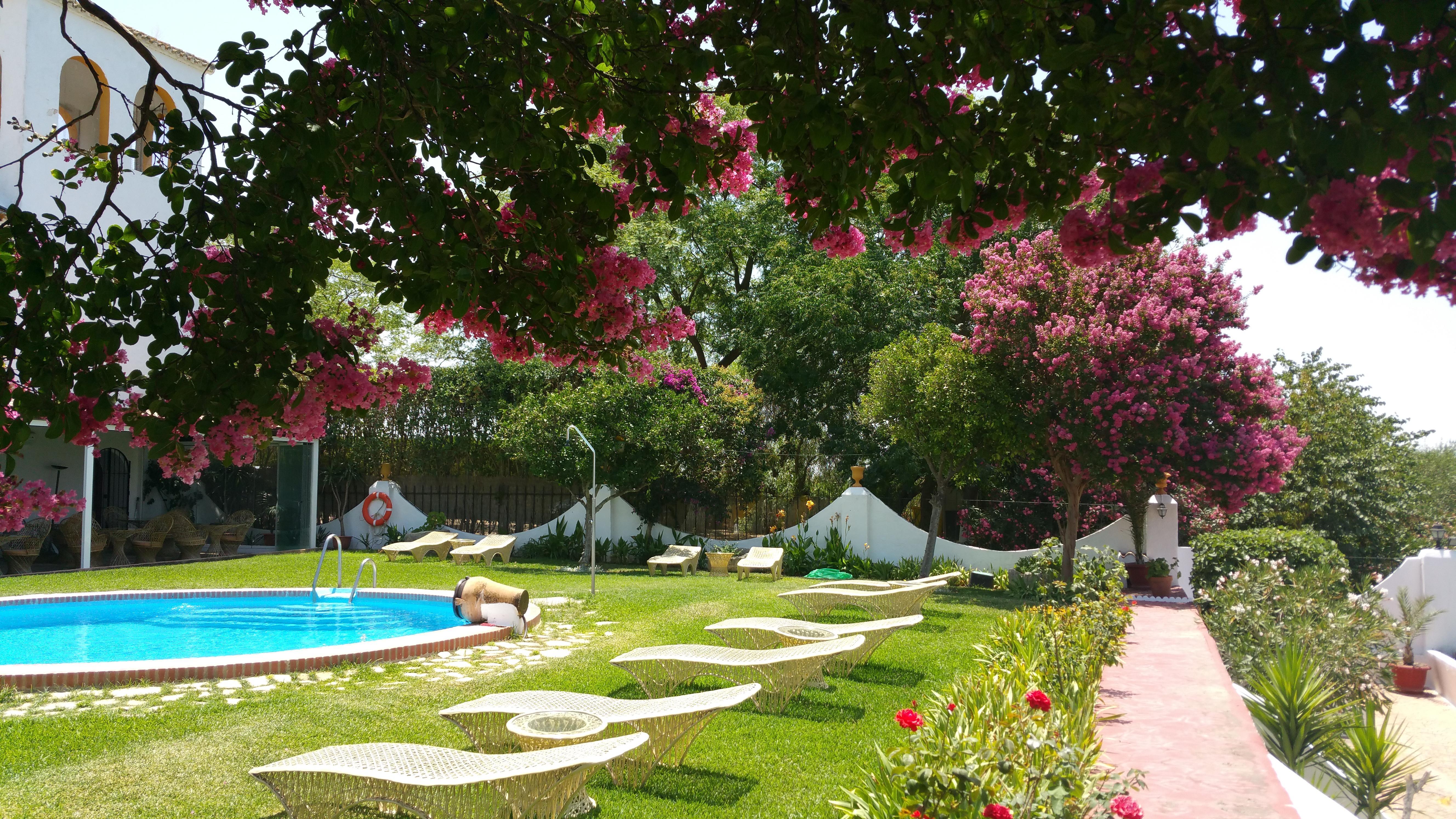 Hacienda El Santiscal 3* Arcos de la Frontera