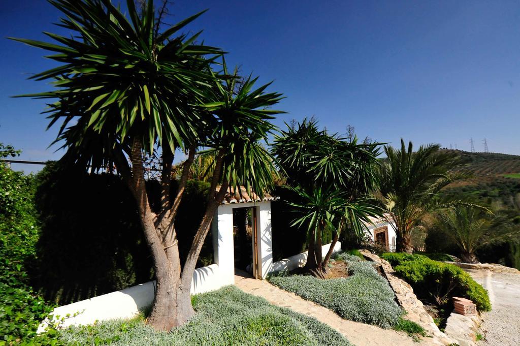 Dariana Padel & Pool Country house Alora