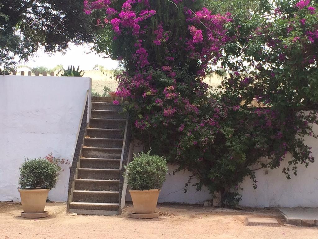 Hotel La Carrena *