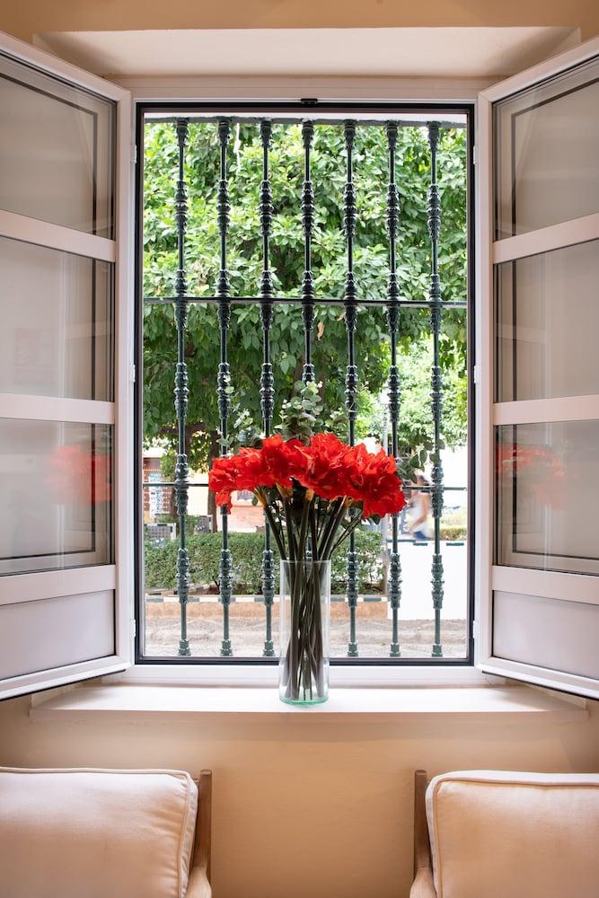 Boutique Elvira Plaza