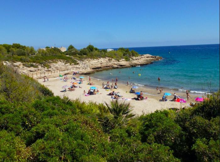 Estudio I Ideal Parejas En La Playa Alguer Apartment L'Ametlla de Mar