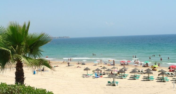 Aparthotel Palmera 2*