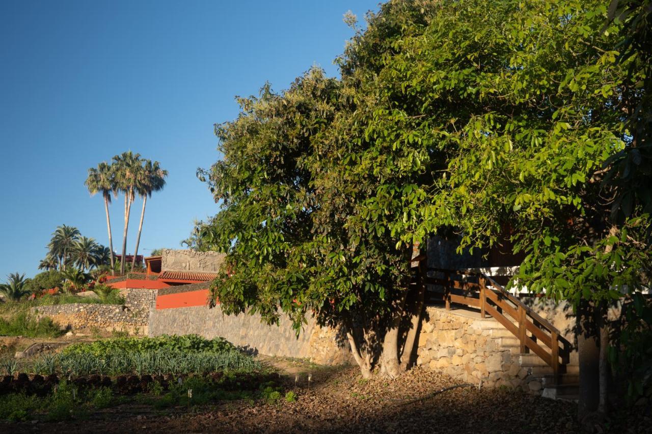Apartamento Pico Los Realejos