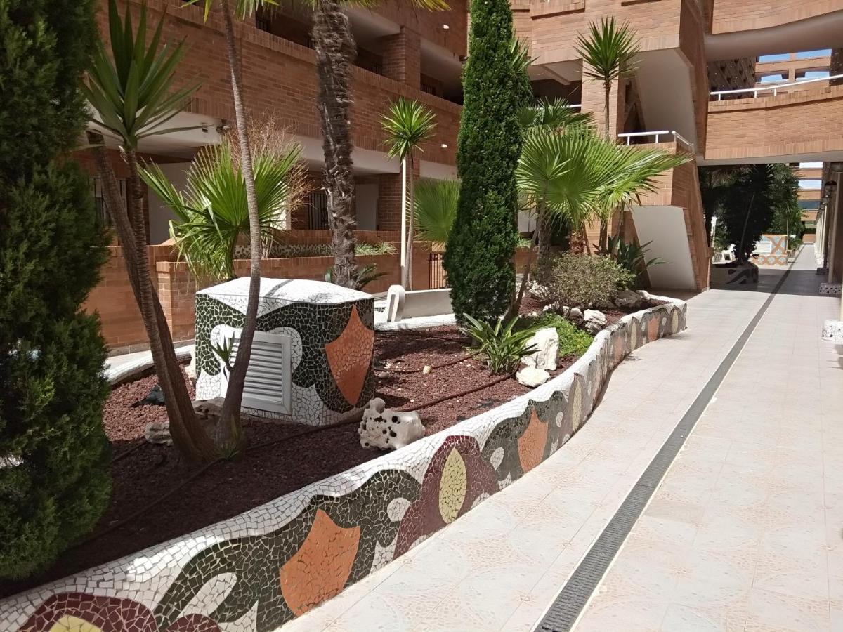 Apartamento Acv - Torremar-2ª Linea Planta 1 Norte 3h Oropesa del Mar