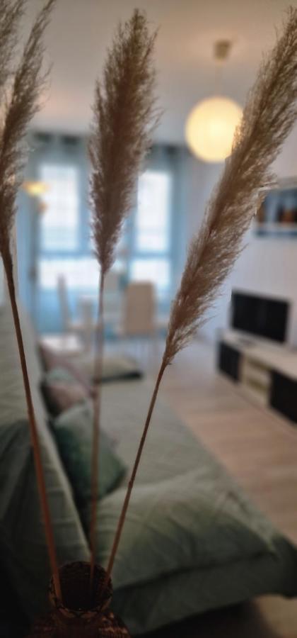 Apartamento Azulverde De Mar - En 1ª Linea Playa San Lorenzo - Vut-4525-as *