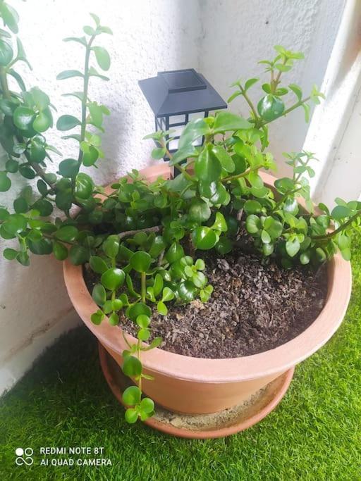 Apartamento Etxalo, Con Terraza En Gorliz