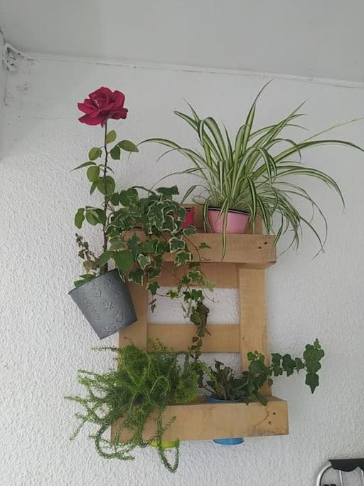 Etxalo, Con Terraza En Apartamento