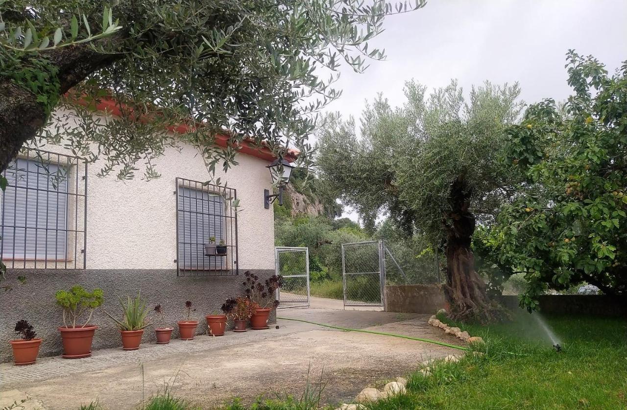 Casa Chorreon Letur