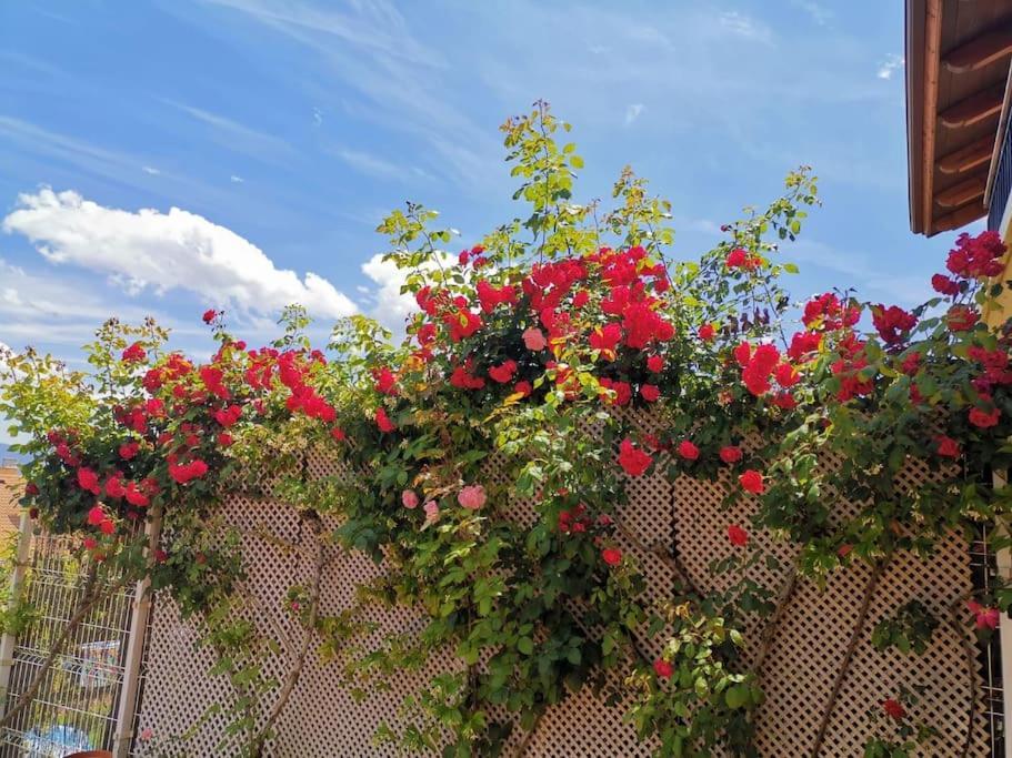 Con Jardin Entre Golf Y Monte - Cerca Logrono Holiday home *