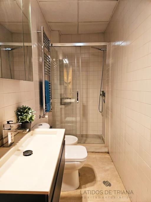 Apartamento Latidos De Triana - Atico Con Vistas A Todo Sevilla