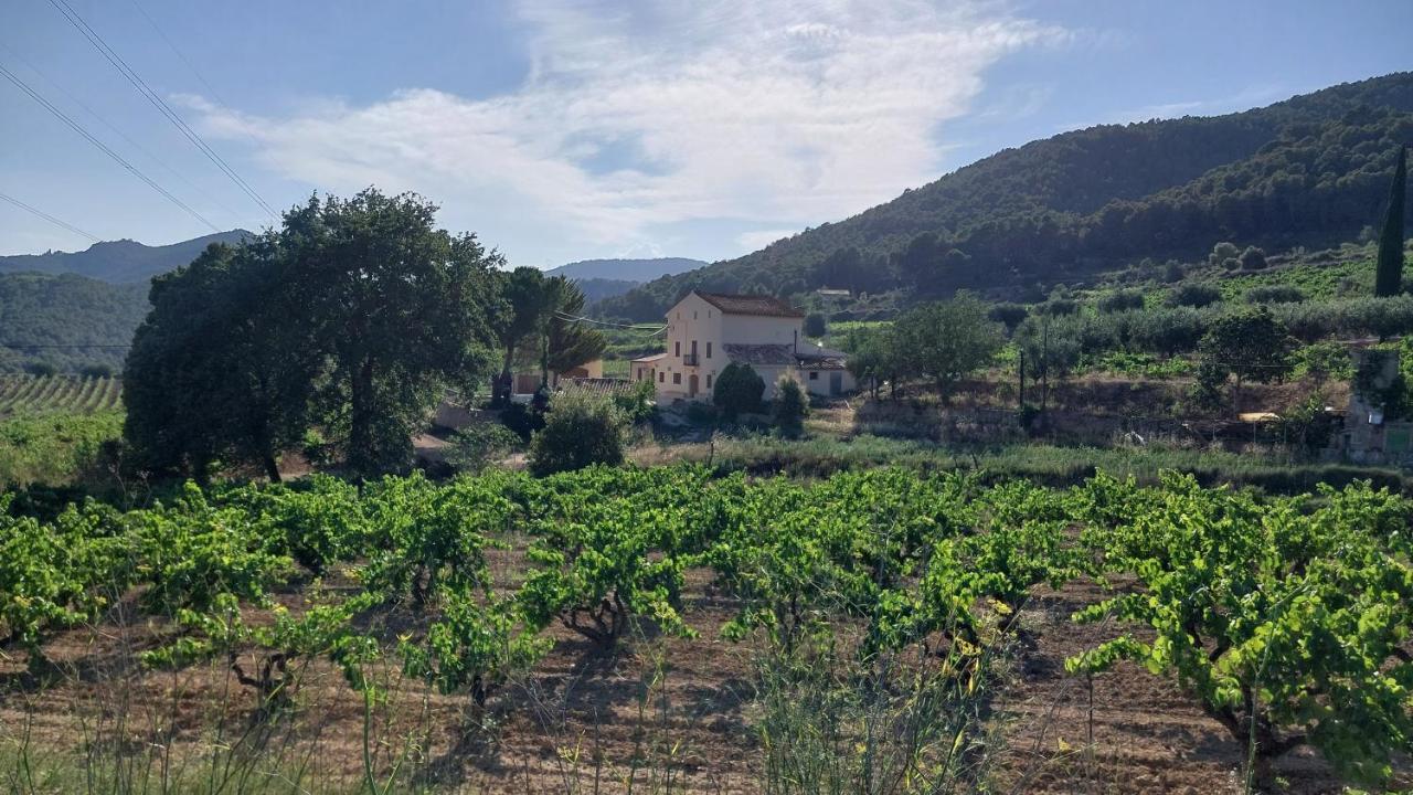 Сasa de vacaciones Cal Marti El Pla de Manlleu