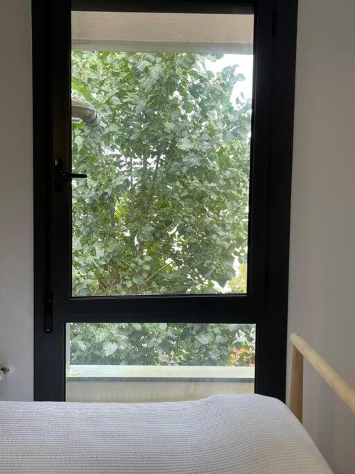 Apartamento Origen Santona, Apartamento Centrico Hasta 4 Plazas Y Facil Aparcar, Opcional Garaje *