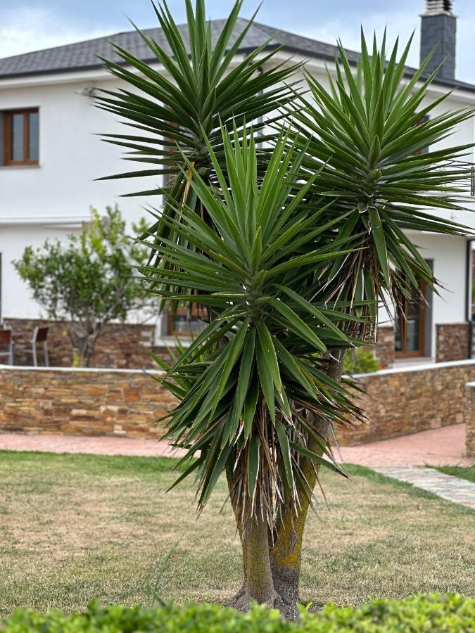 Holiday home Buena Vista