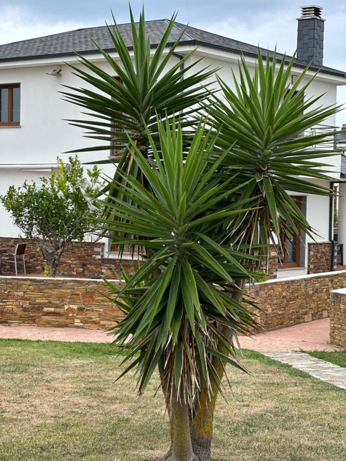 Holiday home Buena Vista Barreiros