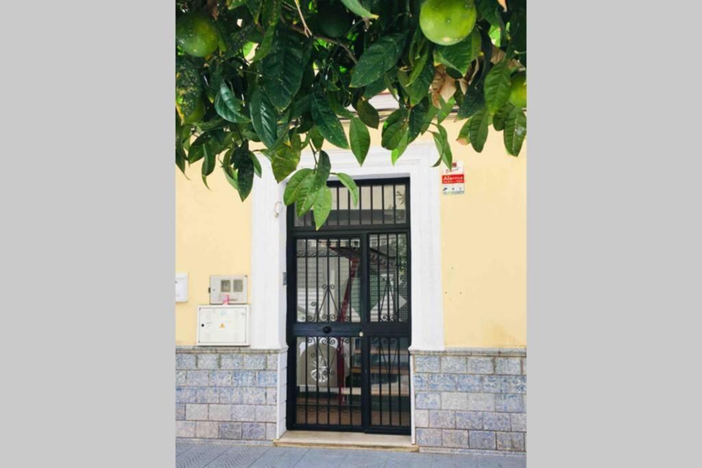 Apartamento En Centro De Torre Del Mar, Malaga