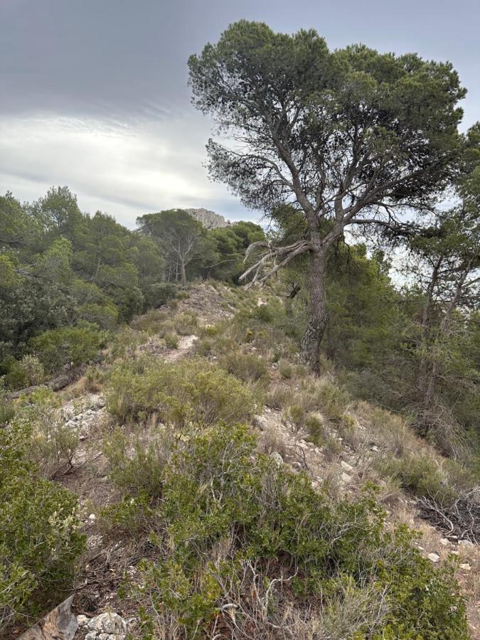 Casa Kai - Torre De Bellaguarda * Altea