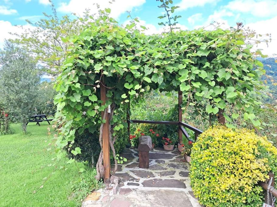 Holiday home Goizeder Etxea *