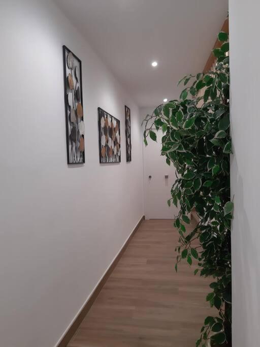 Apartamento Vive El Renacimiento: Cazuela