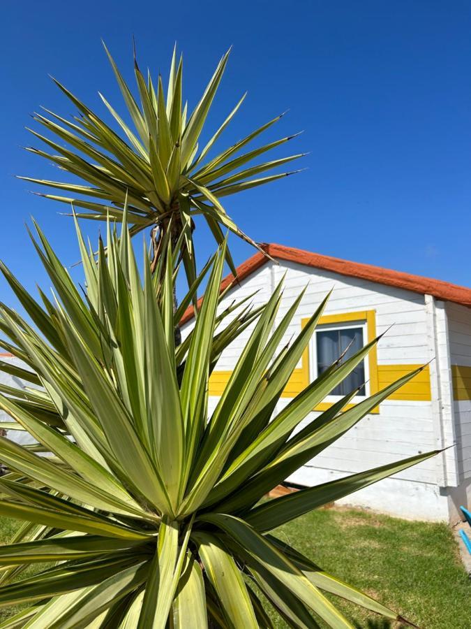 La Pinza Bl Am Apartamento *