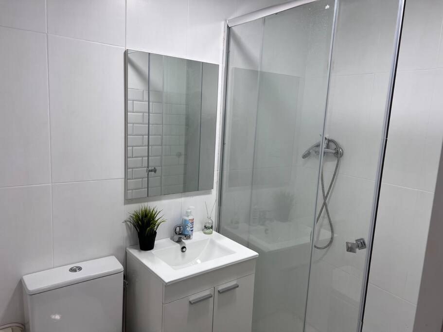 Apartamento Piso En El Centro De *