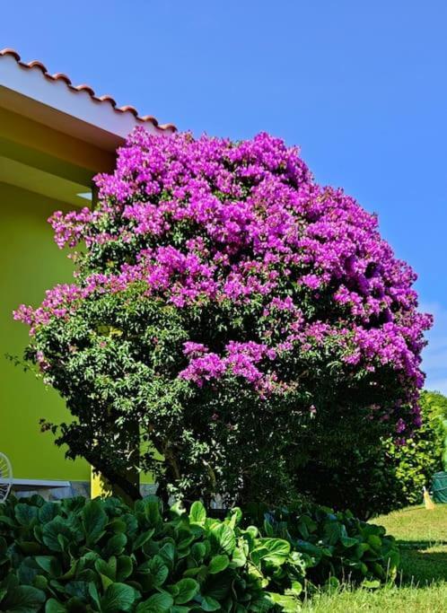 Сasa de vacaciones Ruxidoira, Ventana Al Atlantico Valdoviño