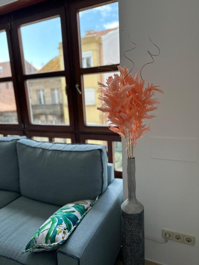 O Xaneiro Apartamento *