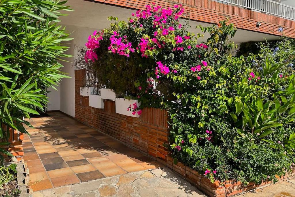Apartamento Piso Amable Con Piscina Cerca De Mar *