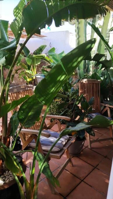 La Casita Azul *