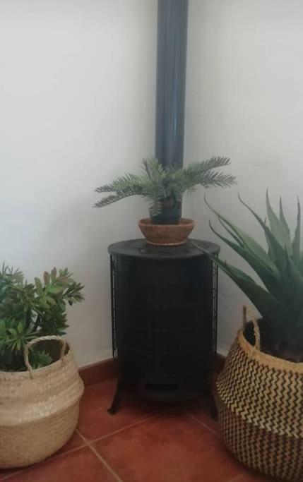 La Casita Azul Holiday home