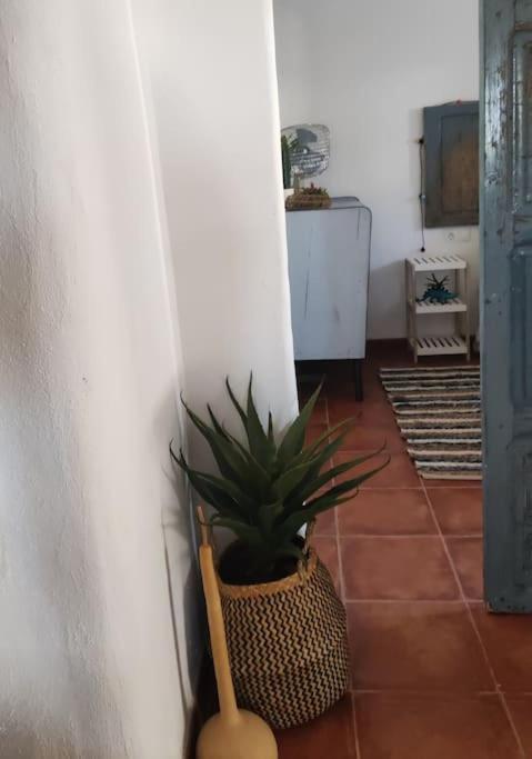 Сasa de vacaciones La Casita Azul Níjar