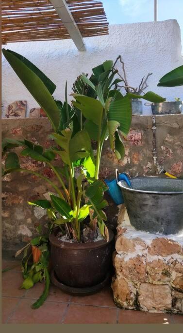 La Casita Azul Сasa de vacaciones Níjar
