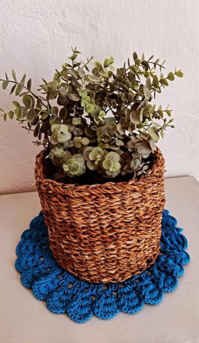 La Casita Azul