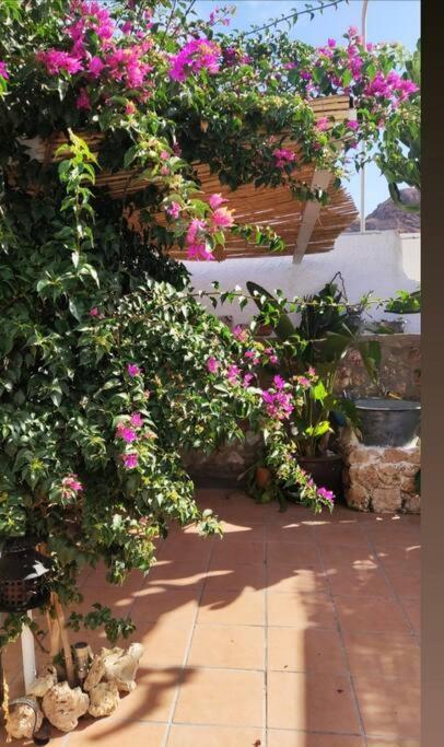 Сasa de vacaciones La Casita Azul