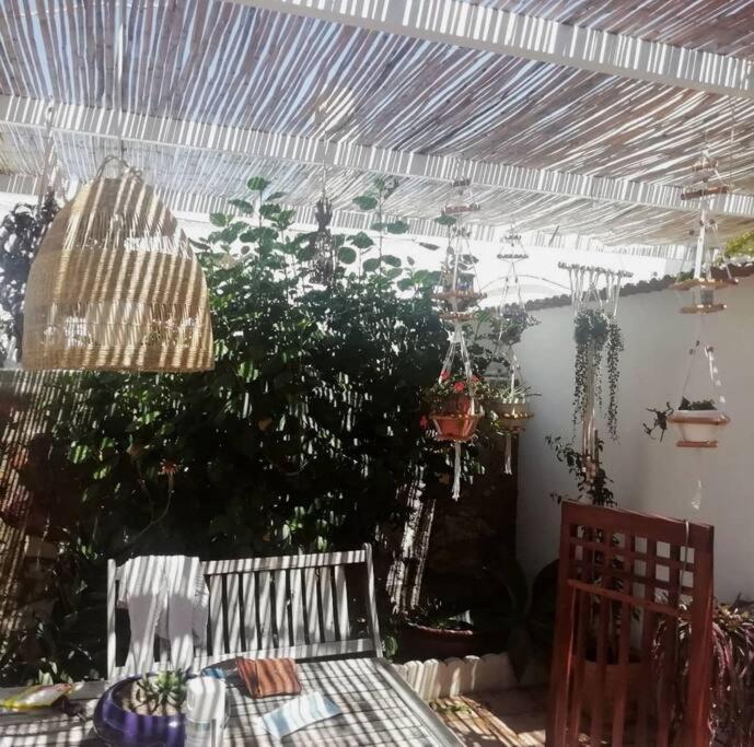 La Casita Azul Сasa de vacaciones