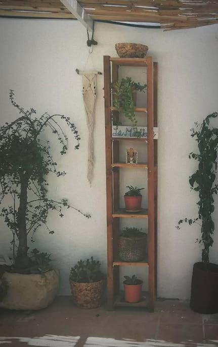 La Casita Azul Сasa de vacaciones *