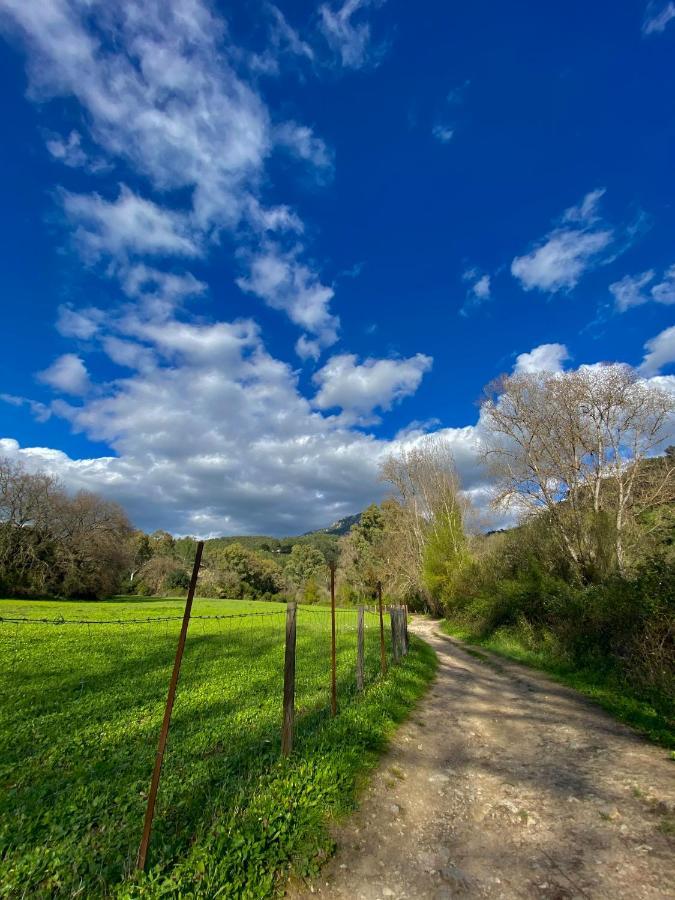 Сasa de vacaciones Dima Vivienda Turistica