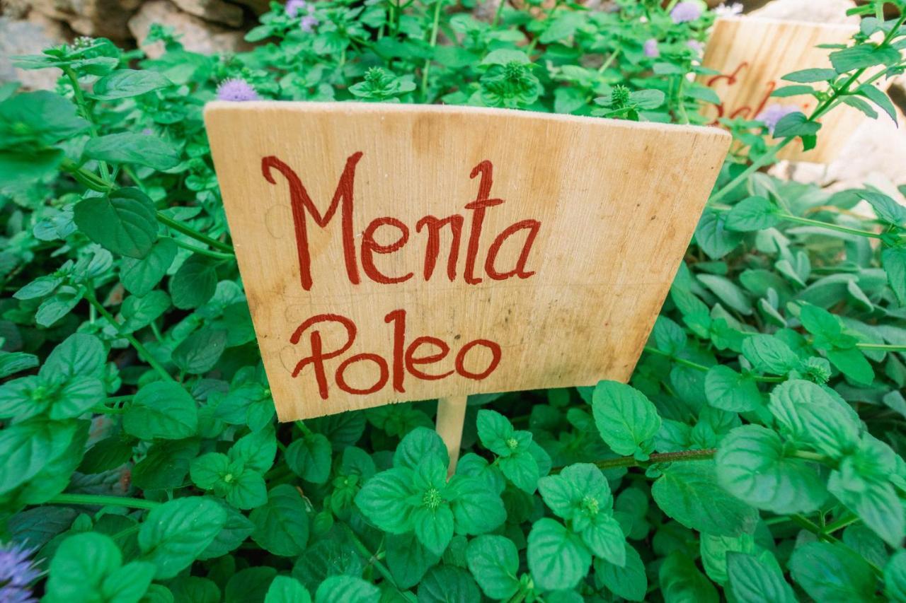 Сasa de vacaciones Casa Emblematica Maruca Y Leli *
