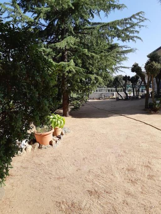 Сasa de vacaciones Chalet En La Sierra De Guadarrama Alpedrete
