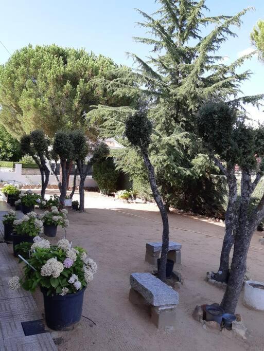 Сasa de vacaciones Chalet En La Sierra De Guadarrama