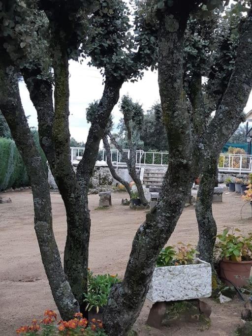 Сasa de vacaciones Chalet En La Sierra De Guadarrama