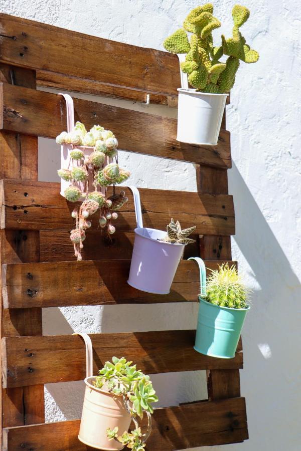 Apartamento El Patio De Naranjos Guadalupe (Extremadura)