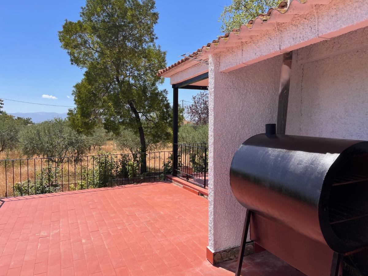 Con Piscina Y Jardines Privados Villa