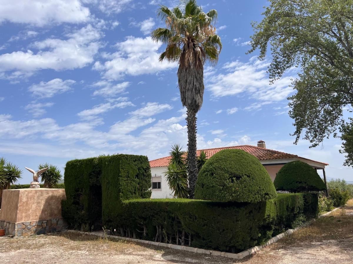 Con Piscina Y Jardines Privados *