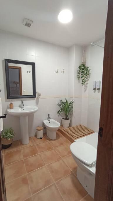 Apartamento Azahares Turistico *
